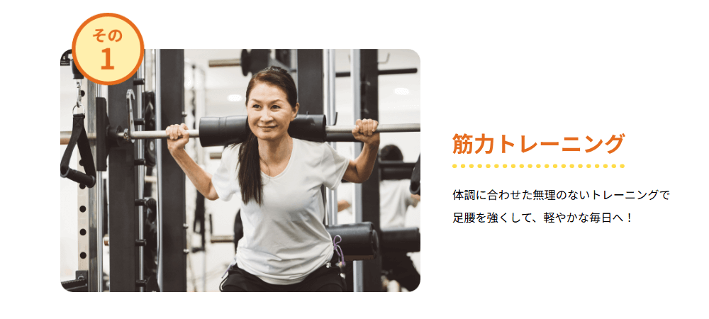 ラスタイルシニアの画像